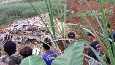 0dc7b803 5dcd 437e 9988 4da91dc5e77e