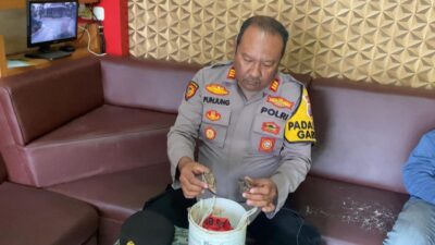 Harga Cabe Tinggi, Suami Istri Curi Cabe, Warga Minta Pelaku Makan Hasil Curian Kapolsek Garum Bukti Pencurian Cabe Mahal