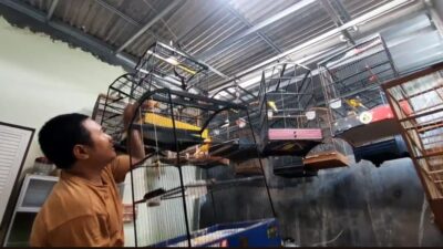 Ternak Kenari, Omset Yuliono Warga Kota Blitar Capai Puluhan Juta