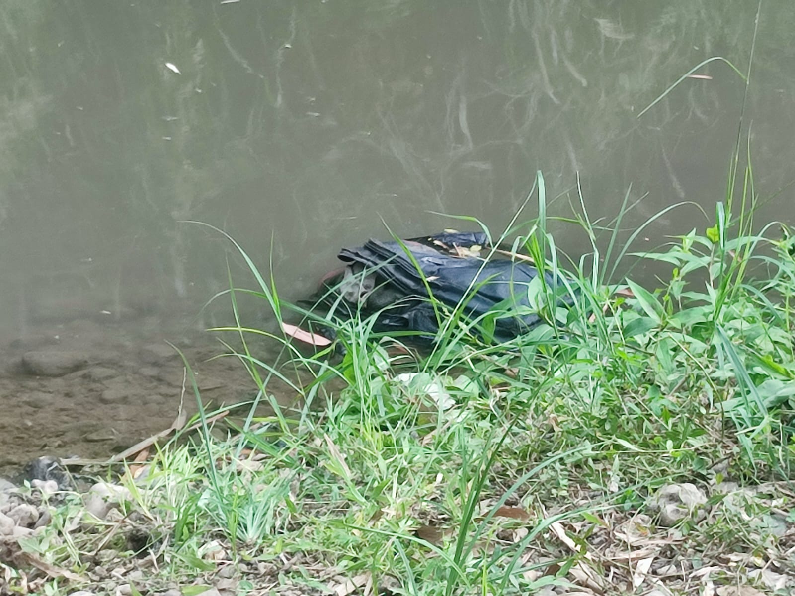 Bayi dalam Tas Ditemukan Tewas di Sungai Brantas Blitar bayi dalam tas di sungai brantas