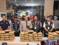 Polres Metro Bekuk 2 Pengedar Ganja, Berat 77 Kg Polres Metro Bekuk 2 Pengedar Ganja, Berat 77 Kg