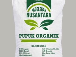 LPNU Pikatan, Blitar Produksi Pupuk Sendiri, Petani Berseri LPNU Pikatan, Blitar Produksi Pupuk Sendiri, Petani Berseri