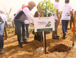 Aksi Rawat Bumi Untuk Tekan Emisi Karbon, PEPC Tanam Lebih Dari 180 ribu Pohon di Lahan Seluas 165 Hektar Aksi Rawat Bumi Untuk Tekan Emisi Karbon, PEPC Tanam Lebih Dari 180 ribu Pohon di Lahan Seluas 165 Hektar