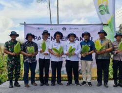 Petani Suruwadang Hasilkan Tembakau Varietas Unggul, PT Djarum Kagum Petani Suruwadang Hasilkan Tembakau Varietas Unggul, PT Djarum Kagum