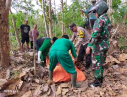 Diduga Rem Blong, Pesepeda Angin Nabrak Pohon Jati, Begini Kondisinya Diduga Rem Blong, Pesepeda Angin Nabrak Pohon Jati, Begini Kondisinya