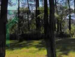 Tempat Wisata Sejuk di Blitar, Disejukkan Udara Dimanjakan Mata, Cocok untuk Wisata Keluarga