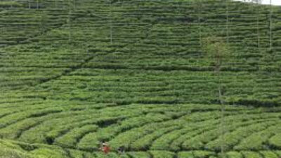 6 Tempat Wisata Mempesona di Blitar yang Wajib Kamu Kunjungi saat Liburan