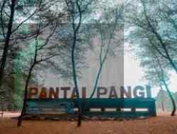 5 Rekomendasi Pantai yang Cuzy di Blitar Selatan, Sajikan Pesona Keindahan Pantai 5 Rekomendasi Pantai yang Cuzy di Blitar Selatan, Sajikan Pesona Keindahan Pantai