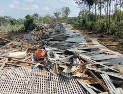Belasan Rumah Rusak dan 1 Kandang Ayam Roboh Diterjang Angin Puting Beliung Belasan Rumah Rusak dan 1 Kandang Ayam Roboh Diterjang Angin Puting Beliung
