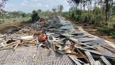 Kandang Ayam di Desa Sidorejo, Kecamatan Ponggok Roboh Akibat Diterjang Angin Puting Beliung