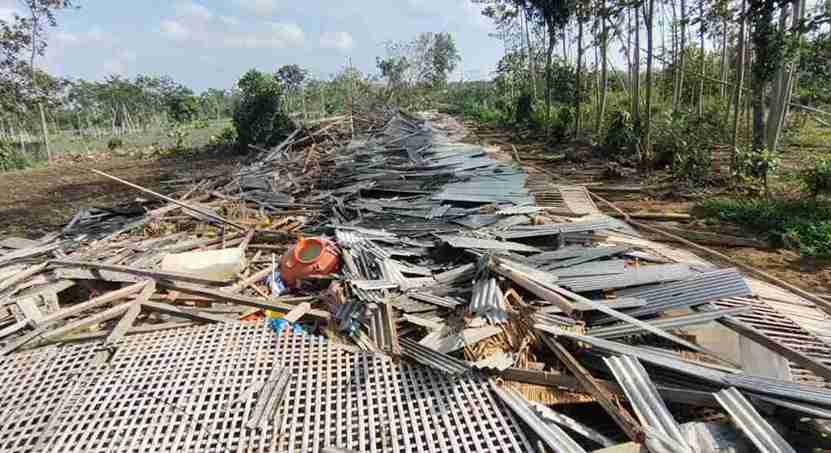 Kandang Ayam di Desa Sidorejo, Kecamatan Ponggok Roboh Akibat Diterjang Angin Puting Beliung