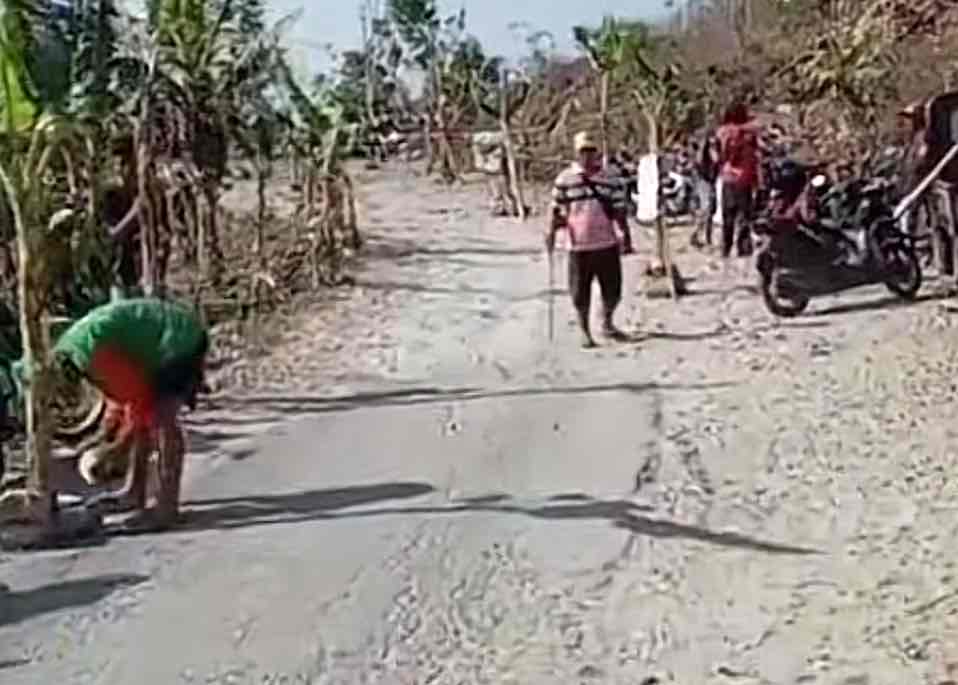 Warga Desa Kebonsari, Kecamatan Kademangan, Kabupaten Blitar Menanami Pohon Pisang Jalan yang Berlubang