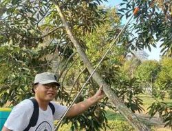 5 Tahun Break di Politik, Anna Luthfie Konsentrasi Kembangan Ketahanan Pangan, ini Saran ke Pemerintah Prabowo untuk Pertanian 5 Tahun Break di Politik, Anna Luthfie Konsentrasi Kembangan Ketahanan Pangan, ini Saran ke Pemerintah Prabowo untuk Pertanian