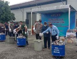 Bea Cukai Blitar Musnahkan Rokok Ilegal Senilai 0,5 Miliar Rupiah Bea Cukai Blitar Musnahkan Rokok Ilegal Senilai 0,5 Miliar Rupiah