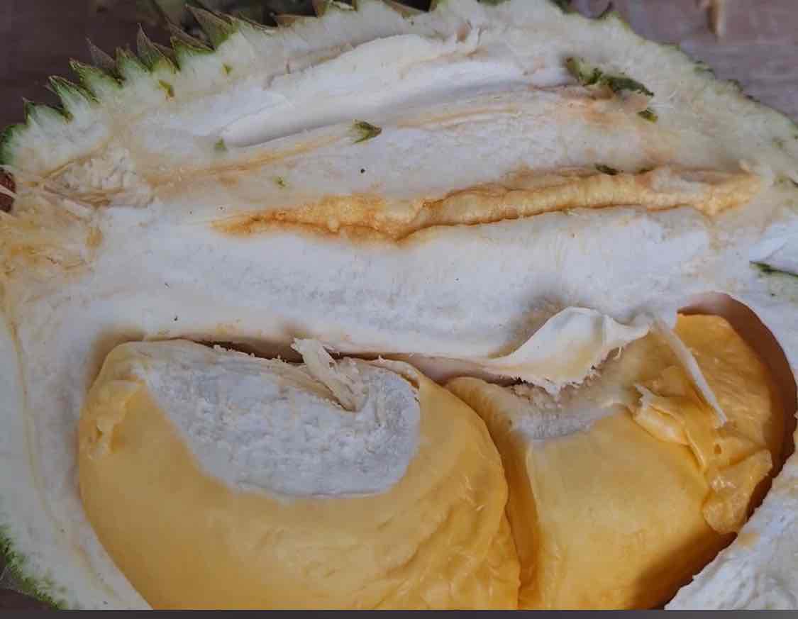 Nikmati Liburan Akhir Tahun di Republik Durian, di Ngaglik Srengat Sembari Menikmati Durian Kelas Wahid Durian Blackthorn (Duri Hitam) dari Republik Durian di Desa Ngaglik, Kecamatan Srengat, Kabupaten Blitar
