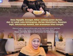 Gubernur Jatim Terpilih, Khofifah Nikmati Durian Black Thorn dari Ngaglik Srengat Gubernur Jatim Terpilih, Khofifah Nikmati Durian Black Thorn dari Ngaglik Srengat