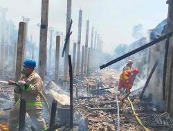 Kandang Ayam Terbakar, 5 Ribu Ayam Hangus Kandang Ayam Terbakar, 5 Ribu Ayam Hangus