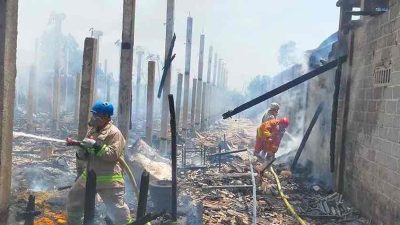 Kandang Ayam Terbakar, 5 Ribu Ayam Hangus Kandang Ayam Terbakar, 5 Ribu Ayam Hangus