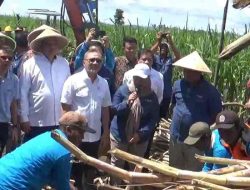 Menko Bidang Pangan Zulkifli Hasan Sebut Indonesia akan Hentikan Impor Gula saat Tinjau Ladang Tebu di Malang Menko Bidang Pangan Zulkifli Hasan Sebut Indonesia akan Hentikan Impor Gula saat Tinjau Ladang Tebu di Malang