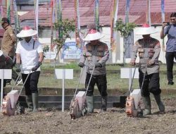 Kapolda Jawa Timur Bersama Pj Gubernur Jawa Timur, Menanam Jagung di Kabupaten Blitar, Ini Bibitnya Kapolda Jawa Timur Bersama Pj Gubernur Jawa Timur, Menanam Jagung  di Kabupaten Blitar, Ini Bibitnya