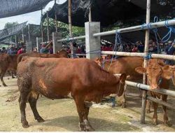 Revitalisasi Pasar Dimoro Tuntas, Pembangunan Atap Jadi Tahap Lanjutan Revitalisasi Pasar Dimoro Tuntas, Pembangunan Atap Jadi Tahap Lanjutan