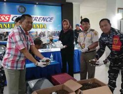 2 Lansia Hendak Selundupkan Kalajengking Senilai Rp400 Juta ke Singapura Melalui Bandara Juanda 2 Lansia Hendak Selundupkan Kalajengking Senilai Rp400 Juta ke Singapura Melalui Bandara Juanda