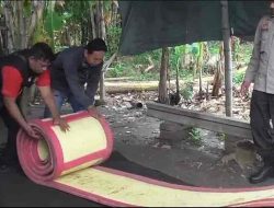 Polsek Krian Gerebek Arena Judi Sabung Ayam