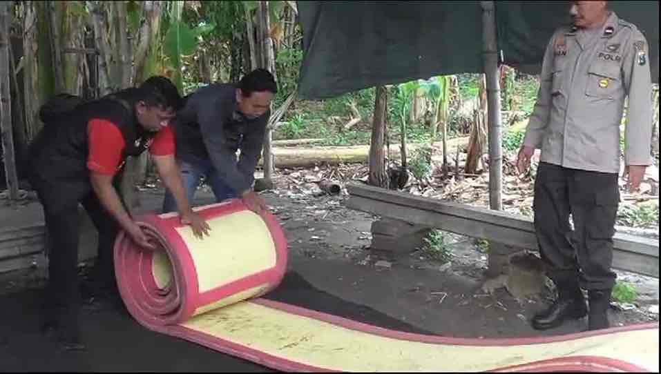 Polsek Krian Gerebek Arena Judi Ayam di Krian