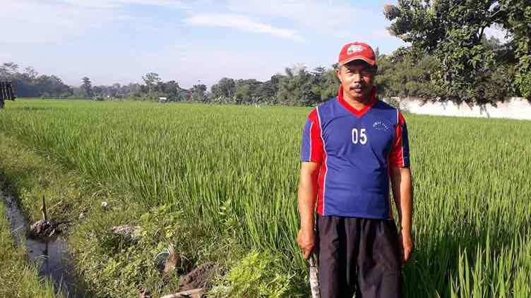 Musim Tanam, Petani di Kota Blitar Tidak Kesulitan Pupuk Bersubsidi Petani di Kota Blitar tidak Kesulitan Pupuk Subsidi