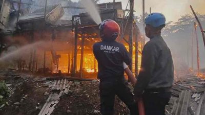 Kebakaran Lahap 6 Kandang Ayam Warga Ngrejo 120 Ribu Ayam Hangus Kerugian Rp 10 Miliar Kebakaran Lahap 6 Kandang Ayam Warga Ngrejo 120 Ribu Ayam Hangus Kerugian Rp 10 Miliar