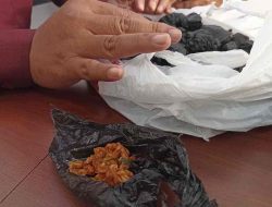 Petugas Lapas Blitar Gagalkan Kering Tempe Bumbu Dobel L Petugas Lapas Blitar Gagalkan Kering Tempe Bumbu Dobel L