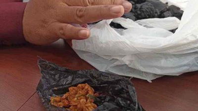 Kering Tempe bercampur pil Dobel L yang Hendak Diselundupkan oleh Pengunjung ke Lapas Kelas II B Blitar