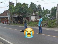 Tabrakan di Jalan Raya Jimbe, Satu Pemotor Meninggal di TKP Tabrakan di Jalan Raya Jimbe, Satu Pemotor Meninggal di TKP