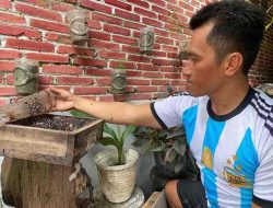 Budidaya Madu Klanceng, Kampung Bonares Kota Blitar Kebanjiran Wisatawan Hisap Madu Langsung dari Koloninya Budidaya Madu Klanceng, Kampung Bonares Kota Blitar Kebanjiran Wisatawan Hisap Madu Langsung dari Koloninya