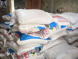 Pupuk Bersubsidi Tersedia di Kota Blitar, Cek Cara Membelinya Pupuk Bersubsidi Tersedia di Kota Blitar, Cek Cara Membelinya