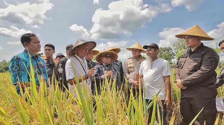 Bupati Blitar Drs H Rijanto MM bersama Forkopimda Panen Raya Pastikan harga Gabah Kering Rp6.500 Perkilogram
