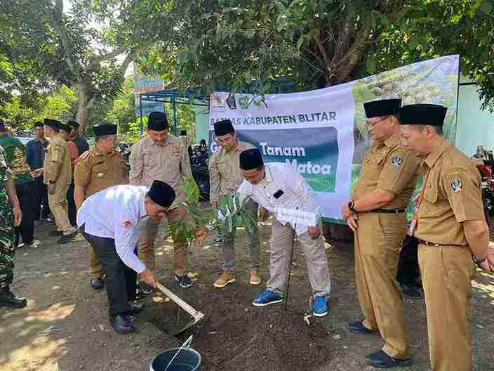 Baznas dan Pemkab Blitar Menanam Pohon Matoa