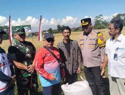 Bupati Blitar RijantoPanen Raya di Desa Tembalang, Dukung Program Ketahanan Pangan Nasional Bupati Blitar RijantoPanen Raya di Desa Tembalang, Dukung Program Ketahanan Pangan Nasional