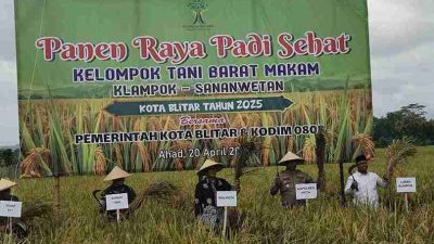 Kelompok Tani Kelurahan Klampok Panen Raya Beras Sehat
