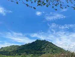 Kabupaten Blitar Duduki Posisi Kedua Produsen Padi Terbanyak di Jatim Kabupaten Blitar Duduki Posisi Kedua Produsen Padi Terbanyak di Jatim