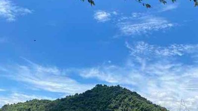 Kabupaten Blitar Duduki Posisi Kedua Produsen Padi Terbanyak di Jatim Kabupaten Blitar Duduki Posisi Kedua Produsen Padi Terbanyak di Jatim