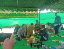 Panen Raya, Petani di Blitar Kesulitan Jual Gabah Panen Raya, Petani di Blitar Kesulitan Jual Gabah