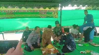 Panen Raya, Petani di Blitar Kesulitan Jual Gabah Panen Raya, Petani di Blitar Kesulitan Jual Gabah
