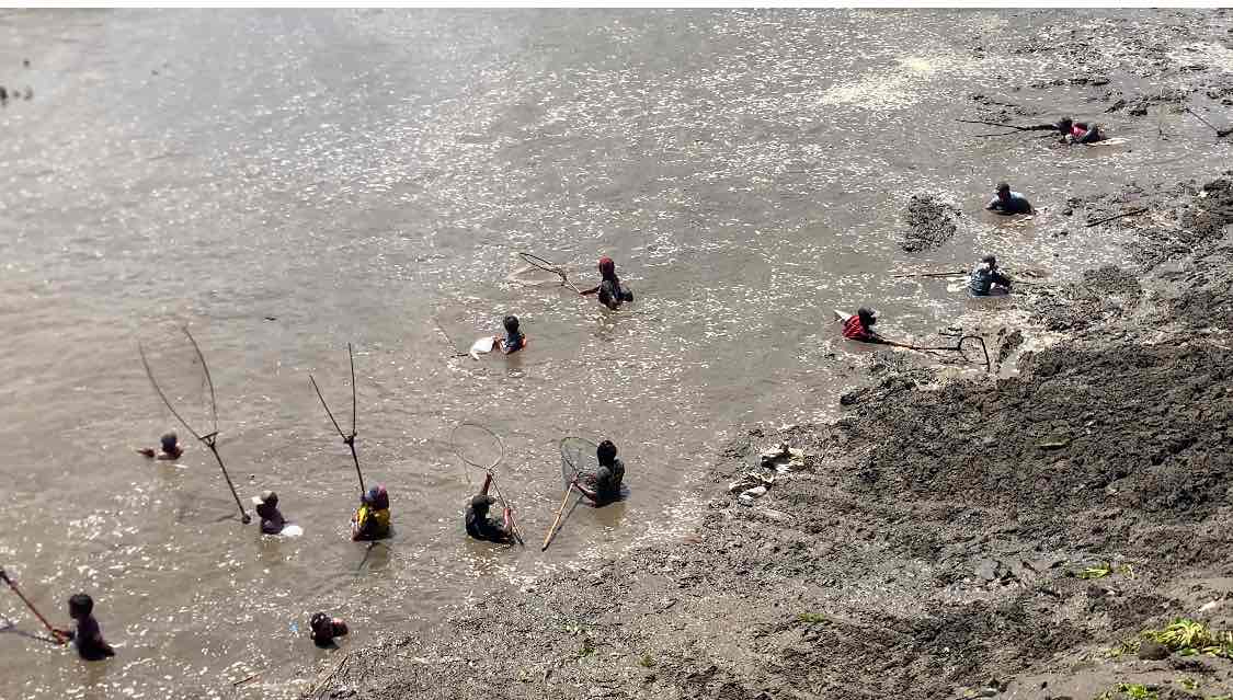 Warga Berebut Ikan Mabuk saat Flushing (Pladu), Dapat Ikan Puluhan Kilogram Warga Mencari Ikan Mabuk di Sungai Brantas saat Flushing Pladu di Bendungan Wlingi Raya