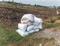 Petani Blitar Usulkan Pendataan dan Pendampingan Agar Bulog Optimal Serap Gabah Petani Blitar Usulkan Pendataan dan Pendampingan Agar Bulog Optimal Serap Gabah