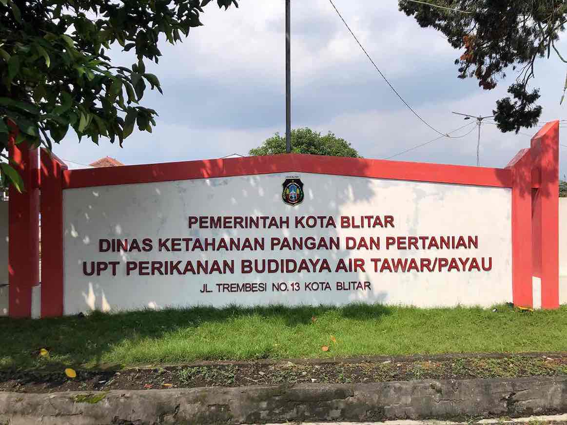 Jelang Idul Adha, DKPP Kota Blitar Intensifkan Pengawasan dan Vaksinasi Hewan Kurban Kantor DKPP Kota Blitar
