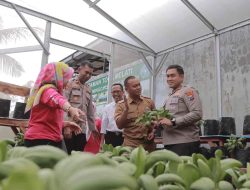 Kapolres Blitar Kunjungi Program Ketahanan Pangan Warga Minggirsari Kapolres Blitar Kunjungi Program Ketahanan Pangan Warga Minggirsari