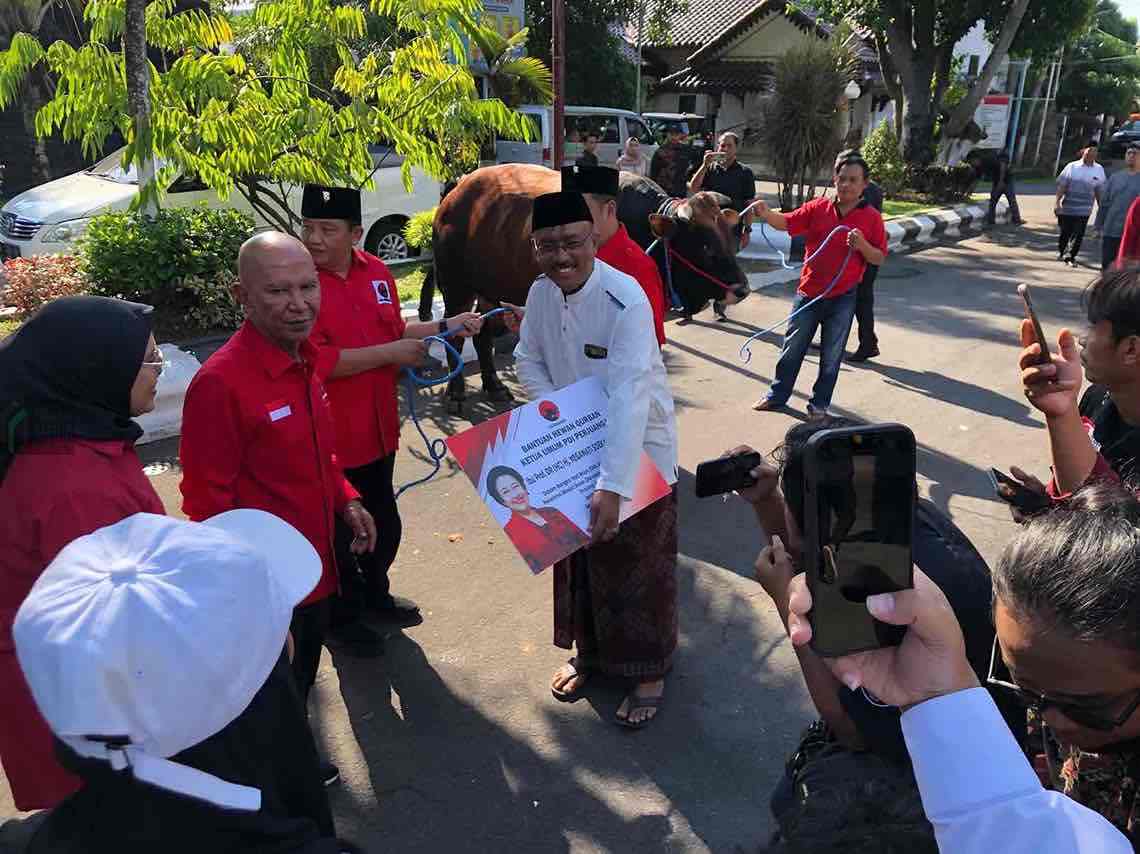 Ketua DPD PDI Perjuangan Jawa Timur Said Abdullah Menyerahkan 2 Ekor Sapi Kurban Megawati di Blitar