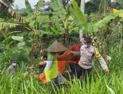 Warga Kecamatan Ganusari Digegerkan Penemuan Mayat di Sungai