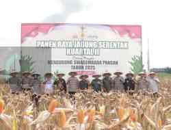 Polres Blitar Salurkan Benih Jagung dan Alsintan, Dorong Swasembada Lewat Panen Serentak Nasional Polres Blitar Salurkan Benih Jagung dan Alsintan, Dorong Swasembada Lewat Panen Serentak Nasional